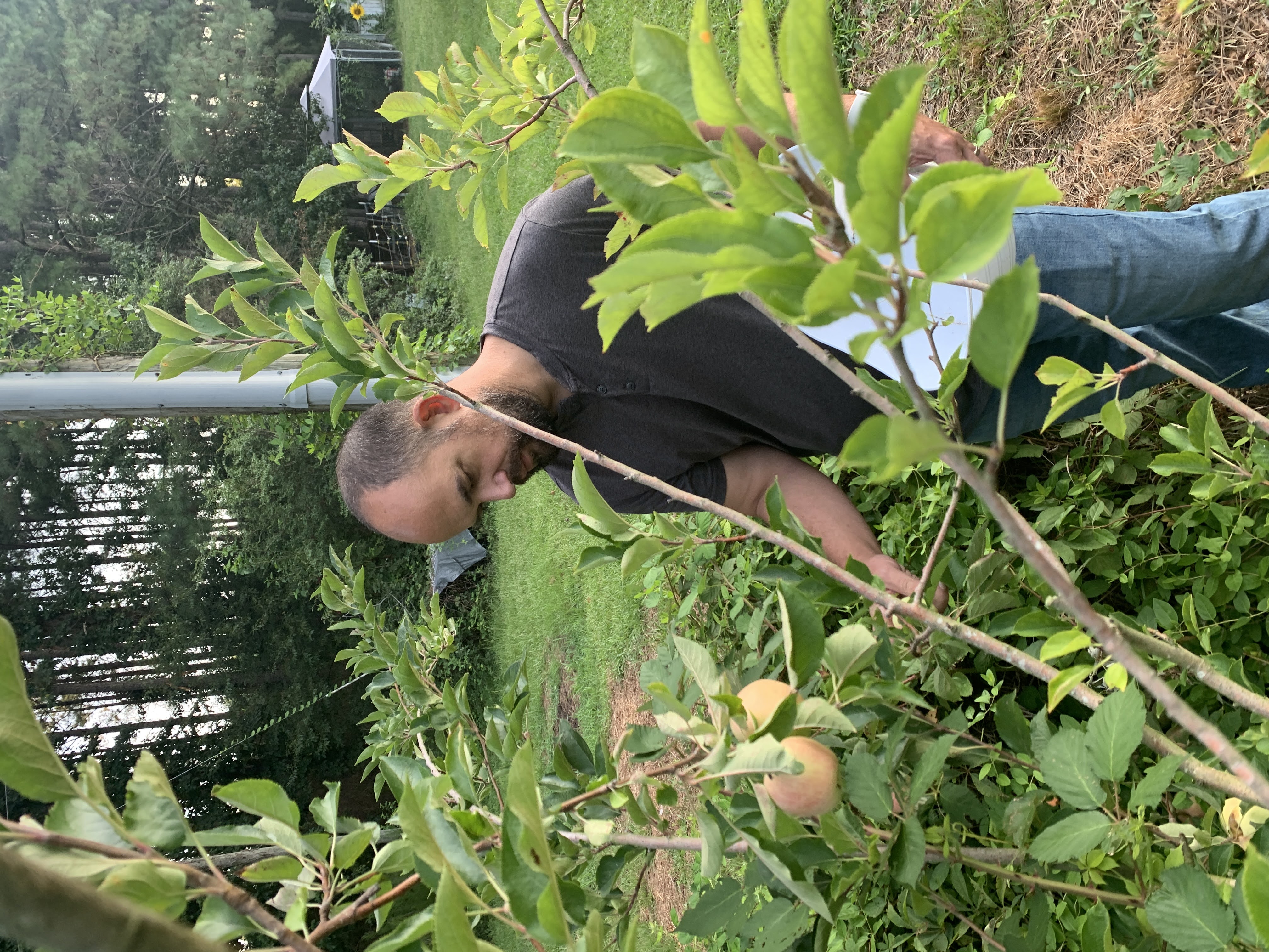 Harvest 2022